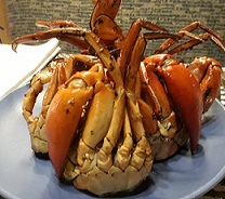 Yummy Crabs